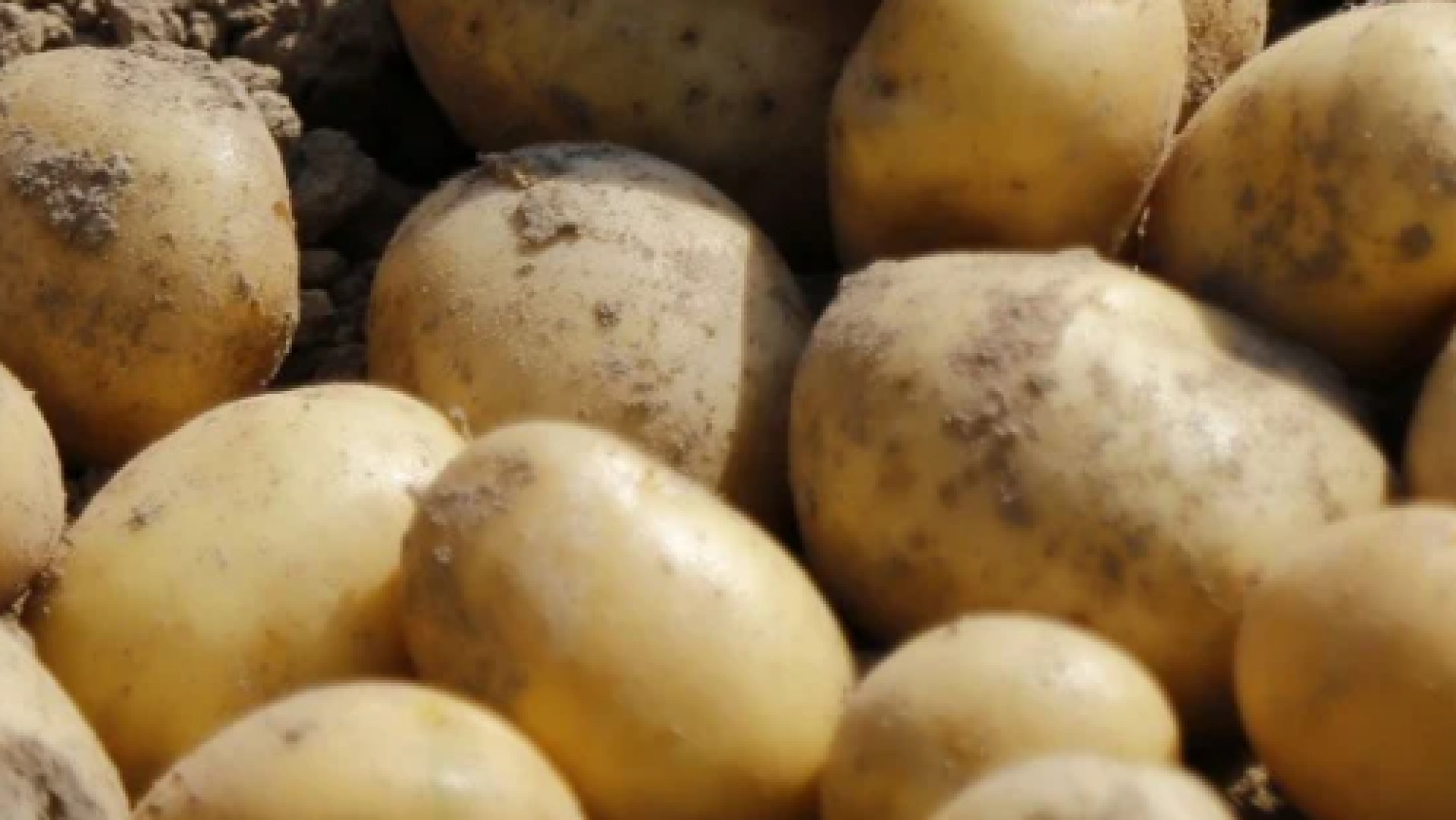 27^ Fiera delle Patate di Entracque